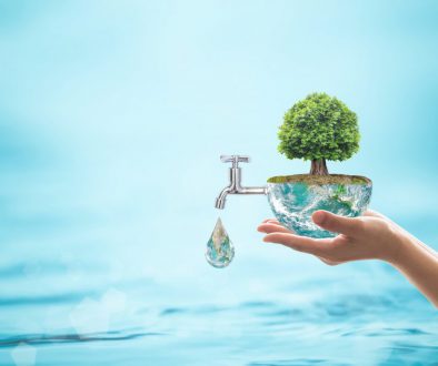 Forest big rain tree arbor planting on blue aqua world on women's human hand: Water drop running from faucet tap: Saving aqua reforestation conceptual csr esg idea: Element of image furnished by NASA