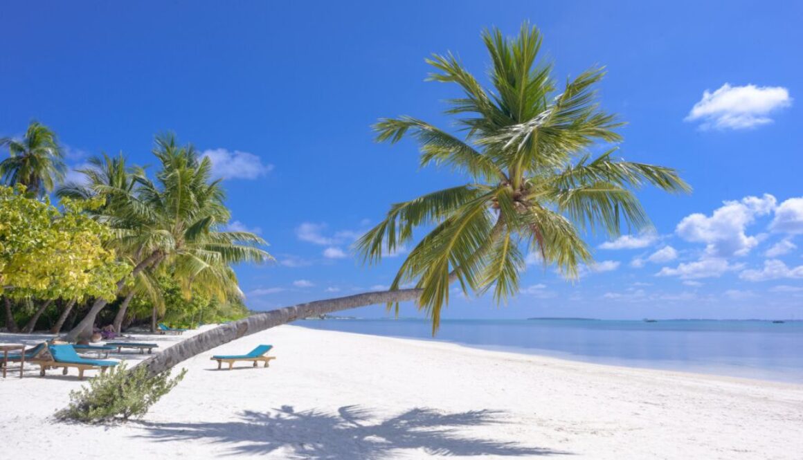 Jakie choroby możemy przywieźć z egzotycznych wakacji